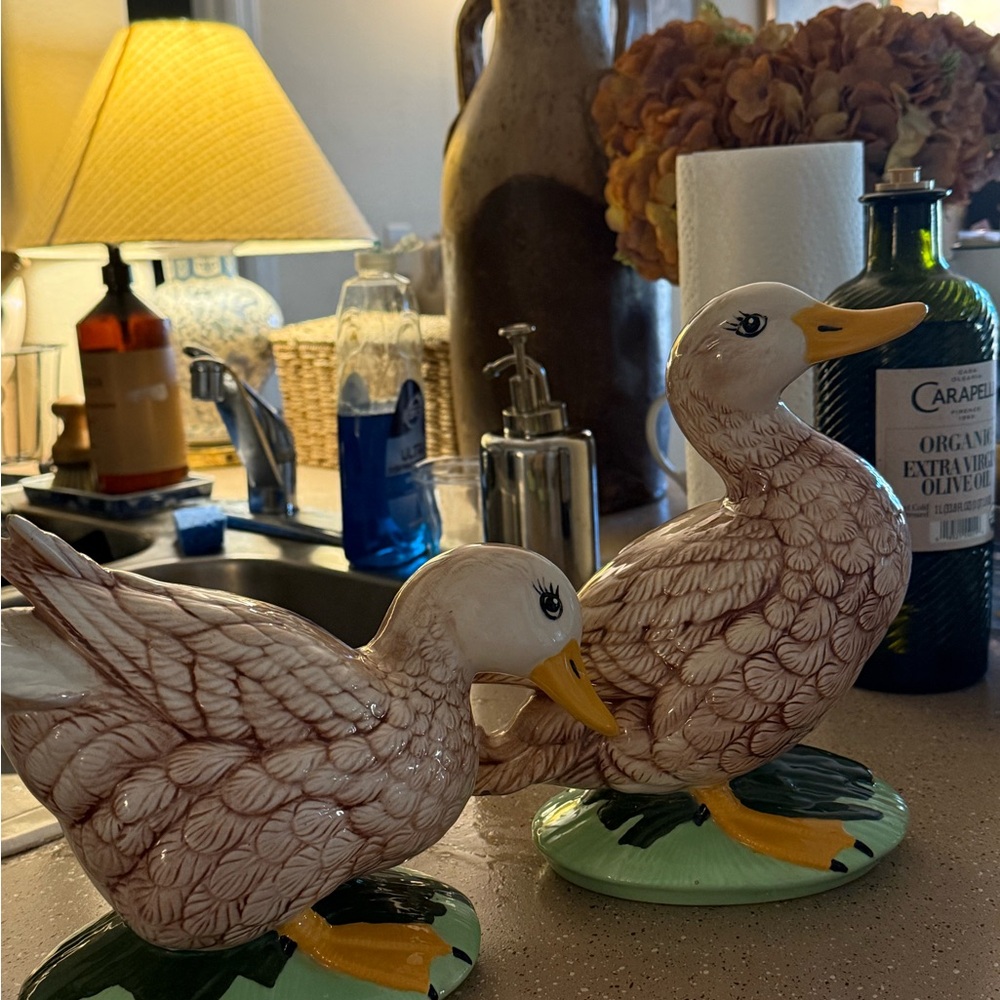 Cute 2 cottagecore Ceramic Duck Figurines